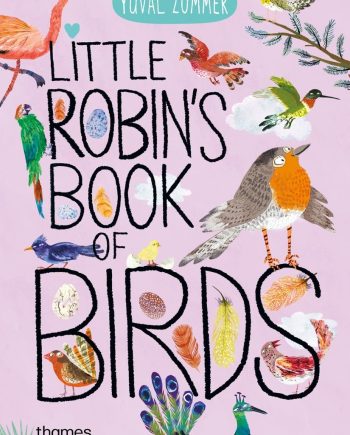 Little Robins Book Of Birds